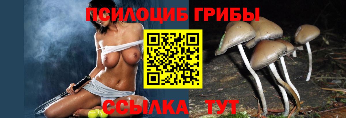 Псилоцибиновые грибы мицелий  Вход с VPN  Протвино 